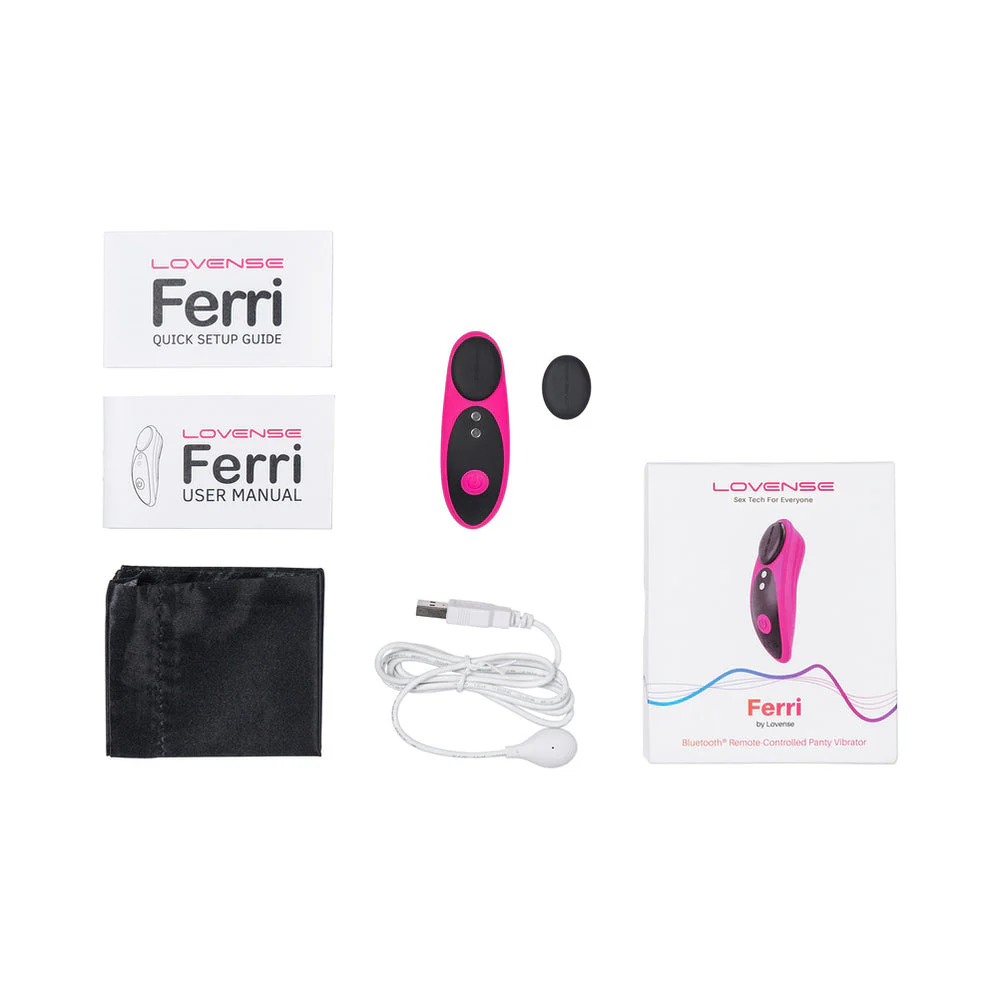An App-Controlled Panty Vibrator Called The Ferri - Image 5